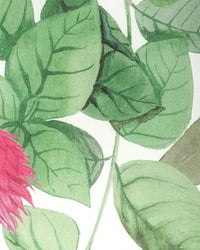 Linen Kitchen Towel | Epices