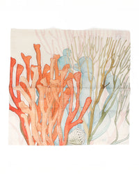 Linen Napkins | Coral | Set of 4