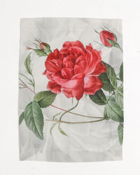 Linen Placemats | Roses | Set of 4